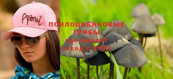 мескалин Новокубанск