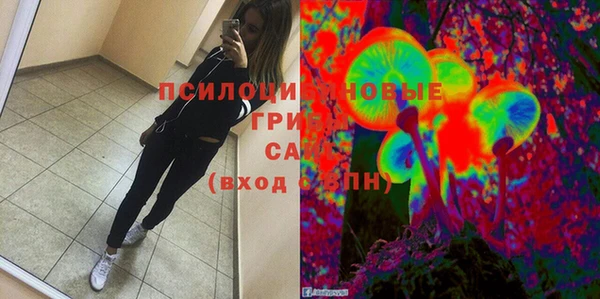 mdpv Нея