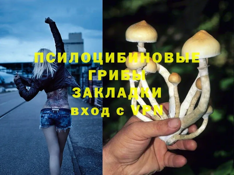 Галлюциногенные грибы MAGIC MUSHROOMS  сколько стоит  Отрадная 