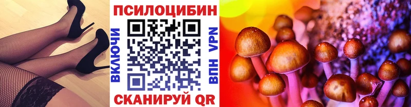 Галлюциногенные грибы MAGIC MUSHROOMS  Отрадная 
